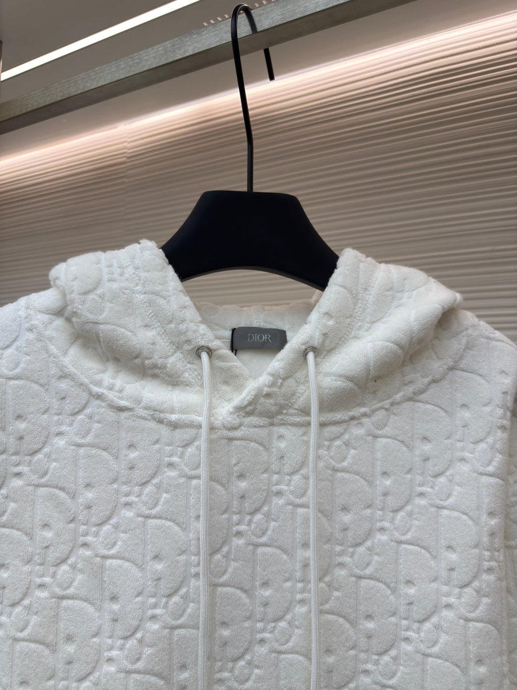 Dior Oblique All Letter hoodie