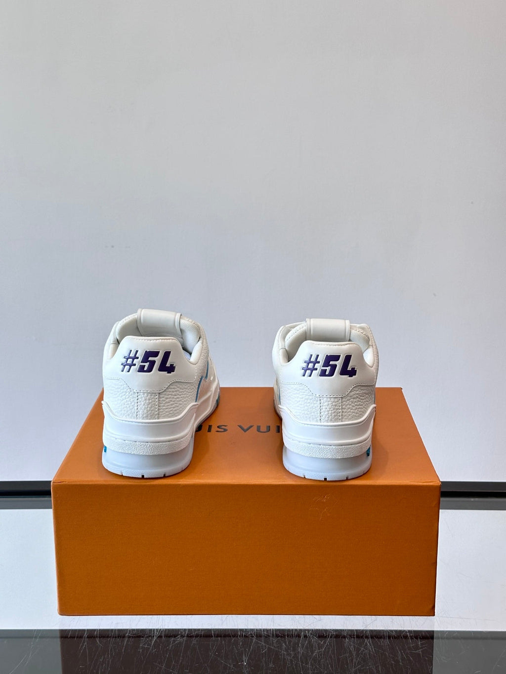 LV Trainers shoes