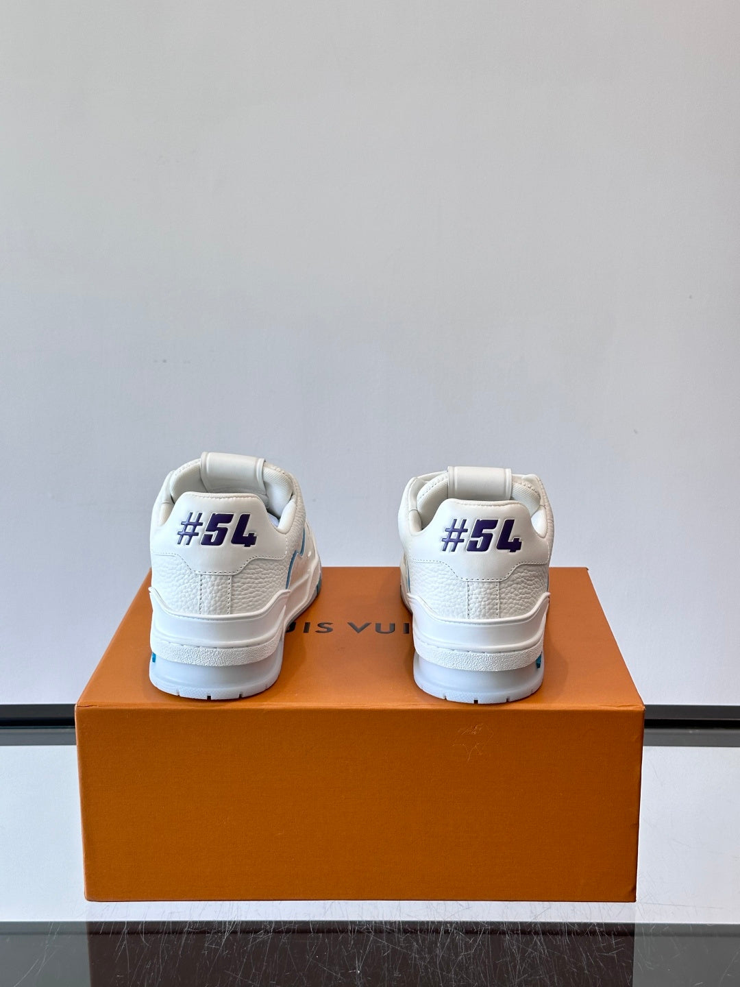 LV Trainers shoes