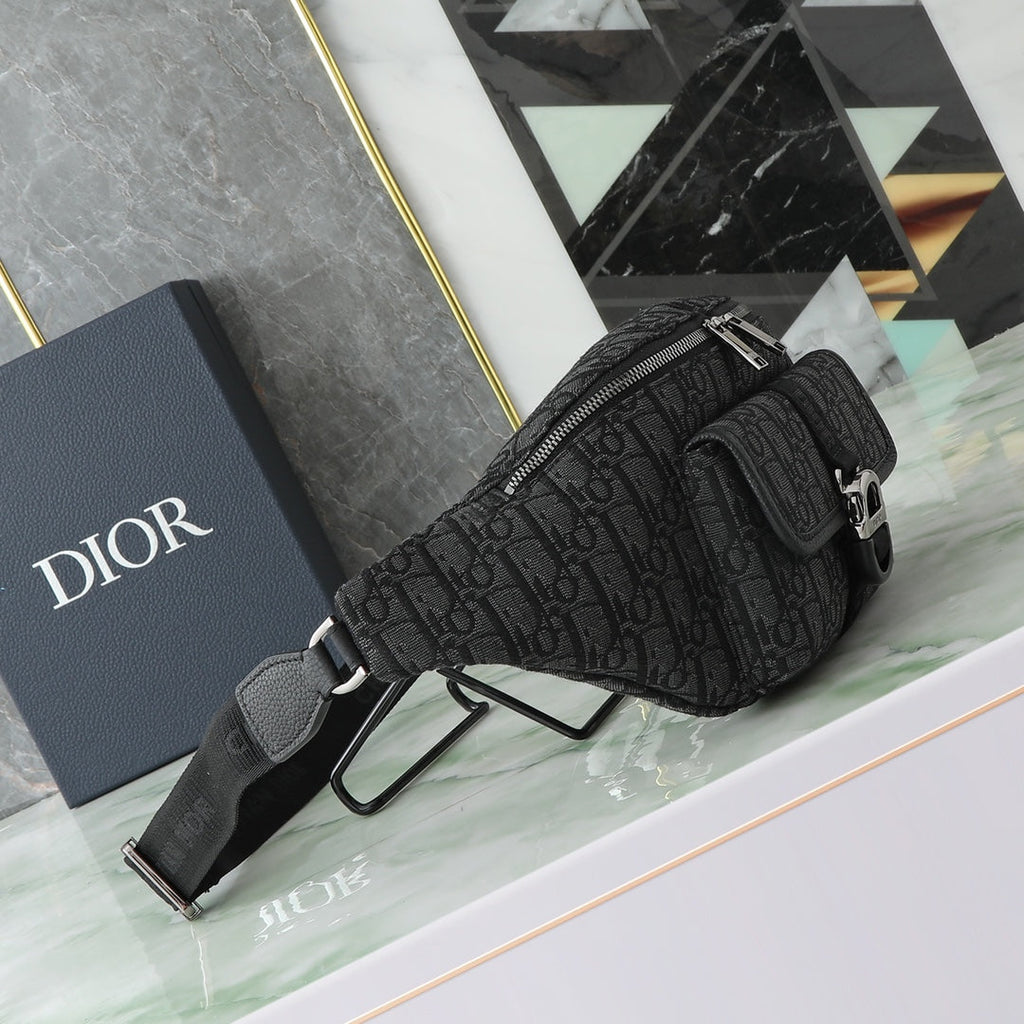 Dior belt Bag