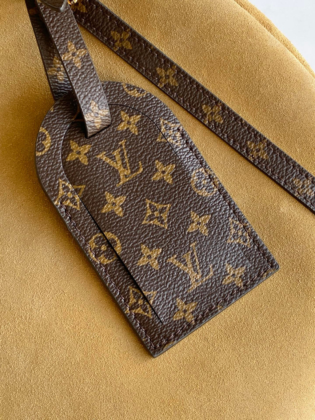 LV Travel Tote Bag