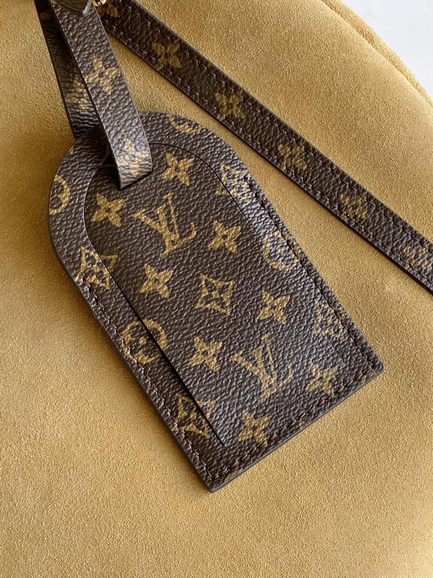 LV Travel Tote Bag
