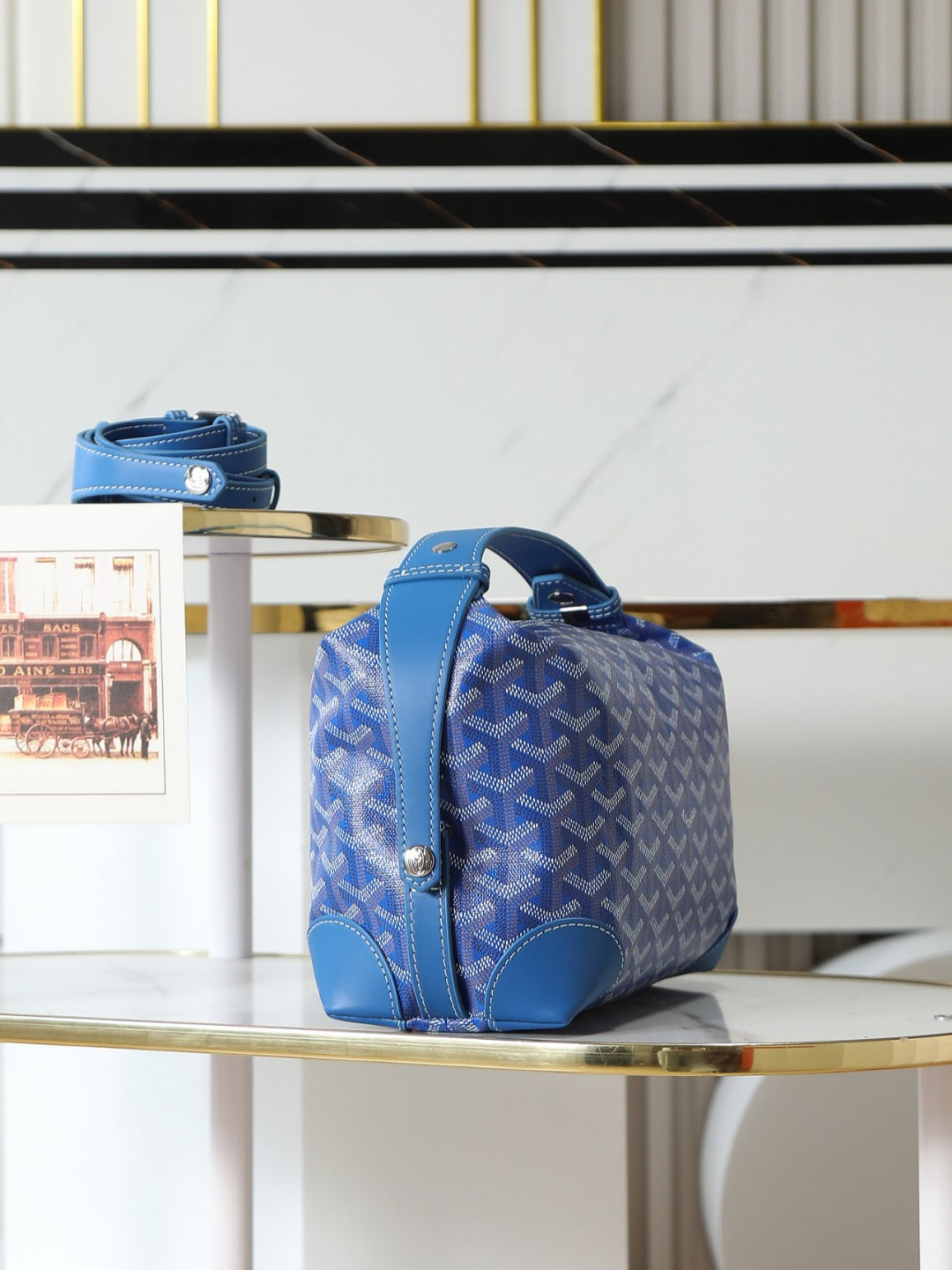 Goyard Toiletry Bag