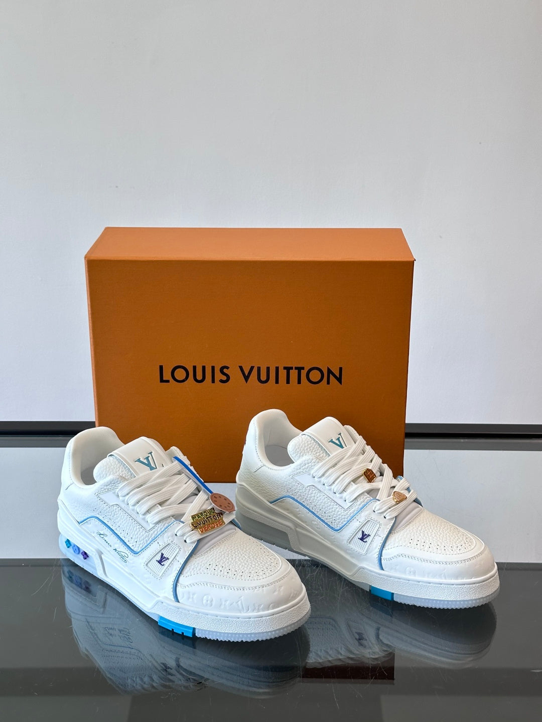 LV Trainers shoes