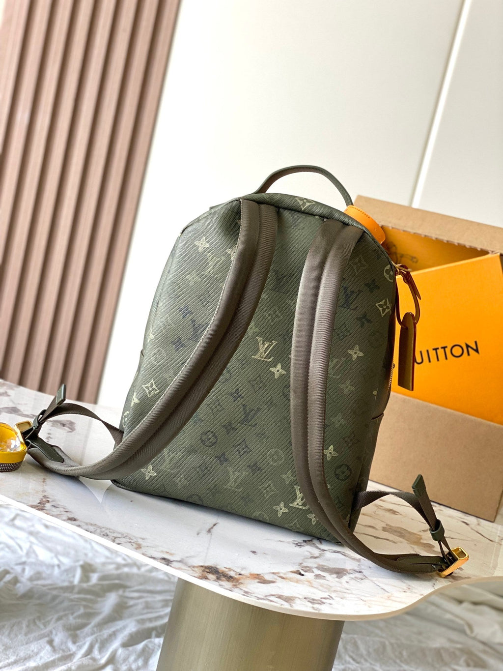 LV Backpack