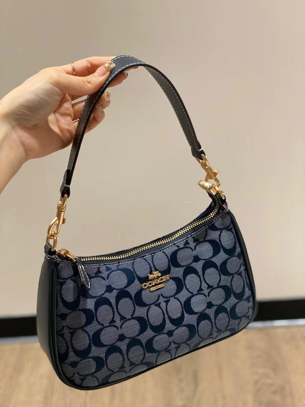 Coach Teri Bag