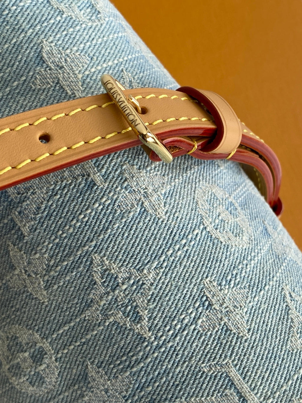 LV Nano Handbag