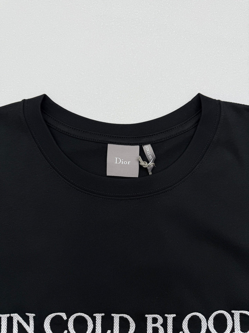 Dior Book Cover Embroidered T-Shirt