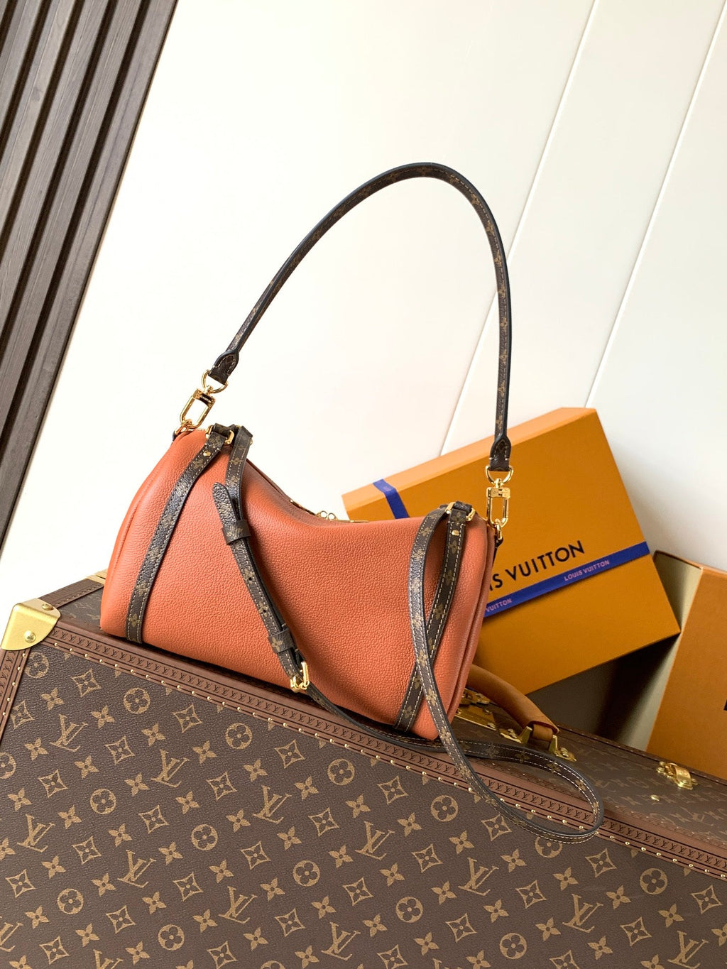 LV Handbag