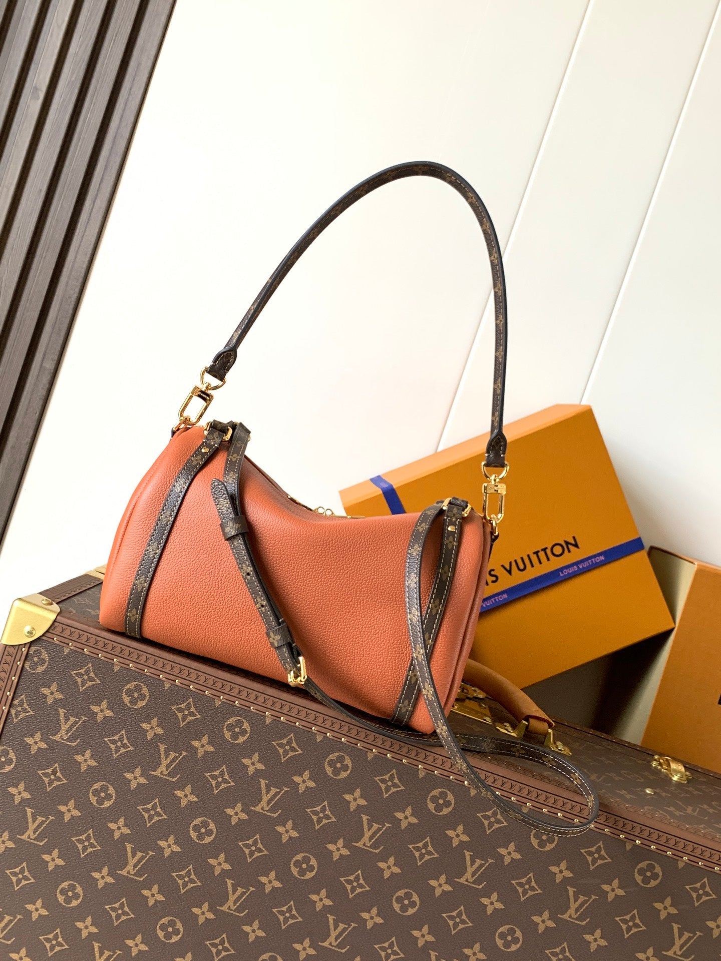 LV Handbag