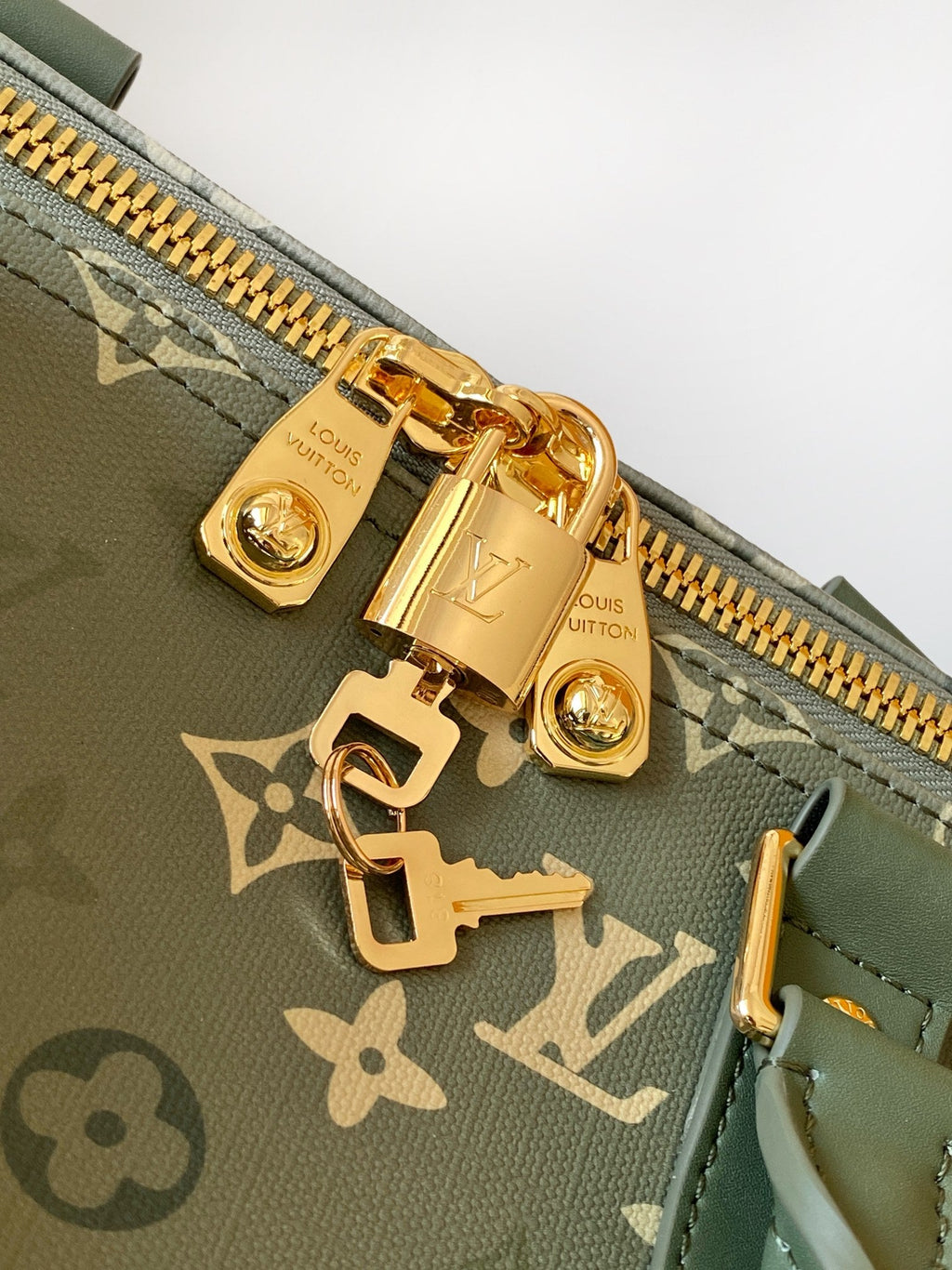 LV Travel Bag