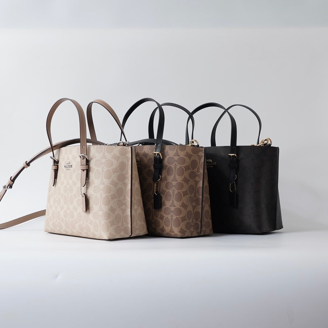 Women's Coach Mollie Small Tote Bag