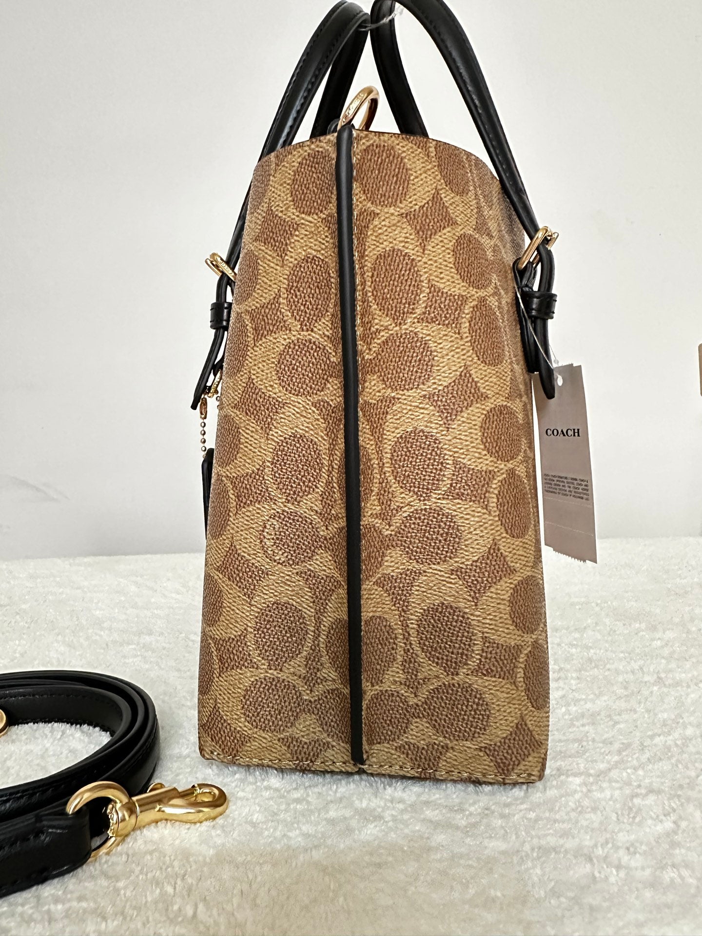 Women's Coach Mollie Small Tote Bag