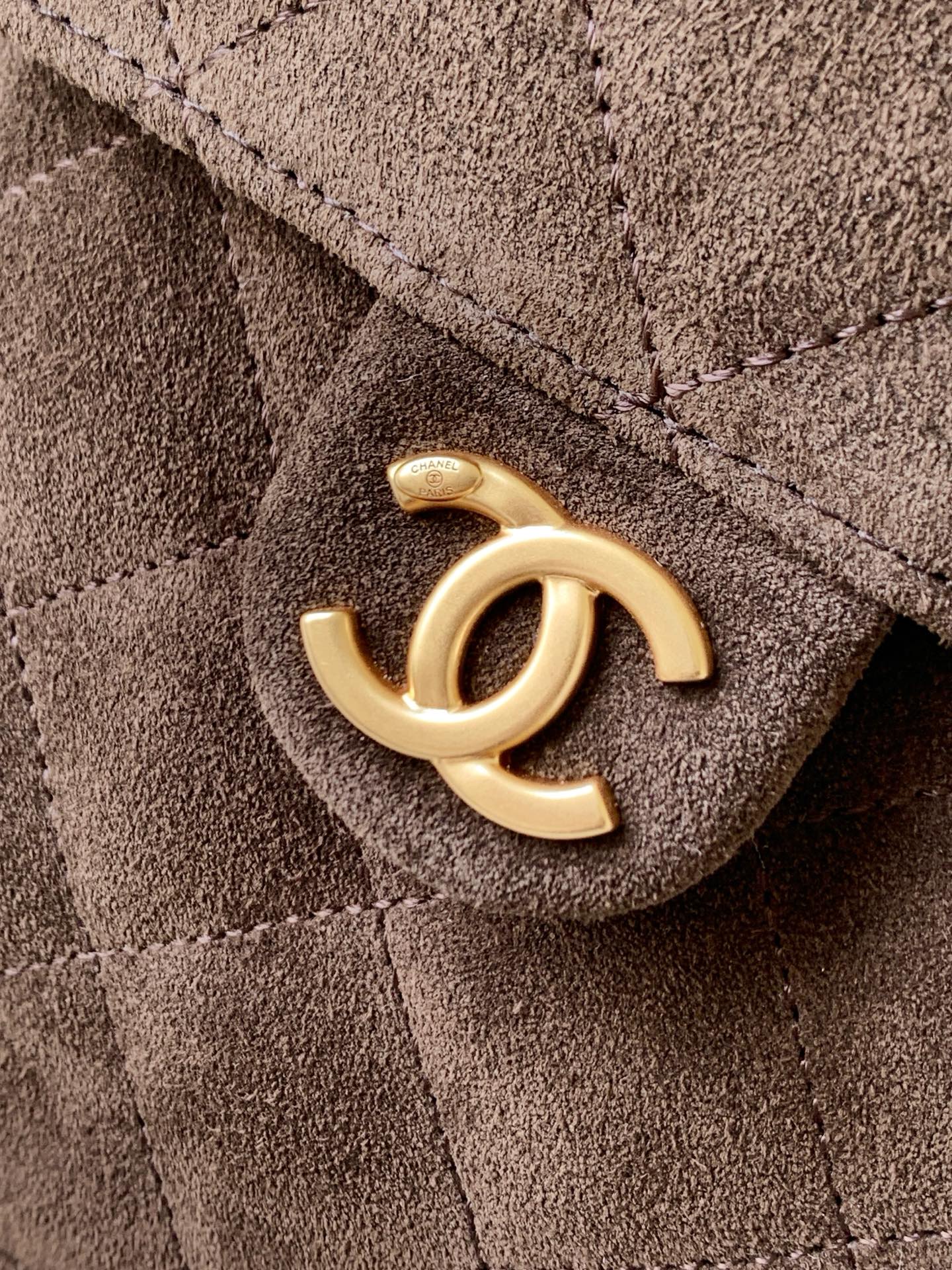 Chanel Bag with frosted Leather
