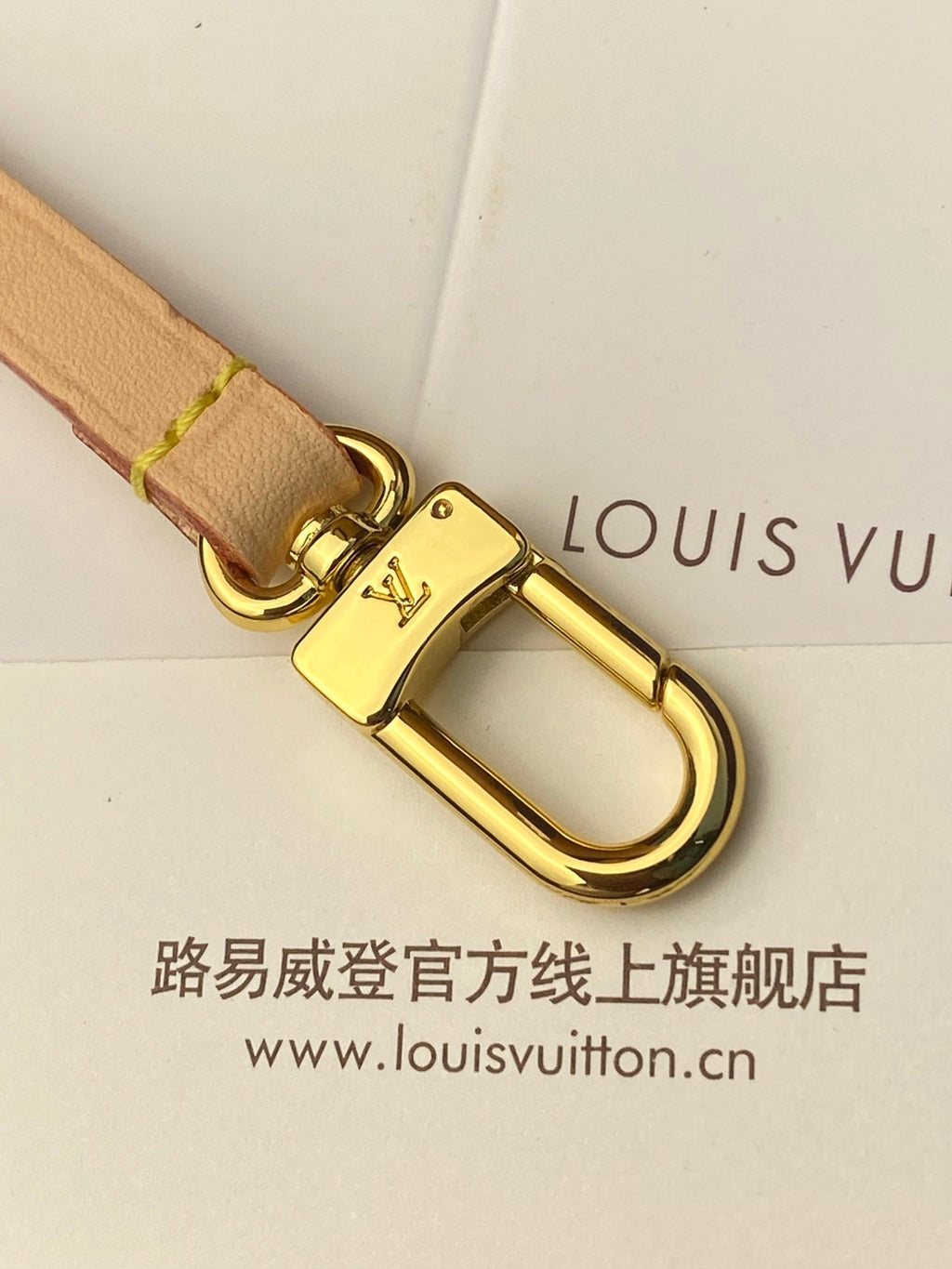 LV Pochette Pillion Handbag