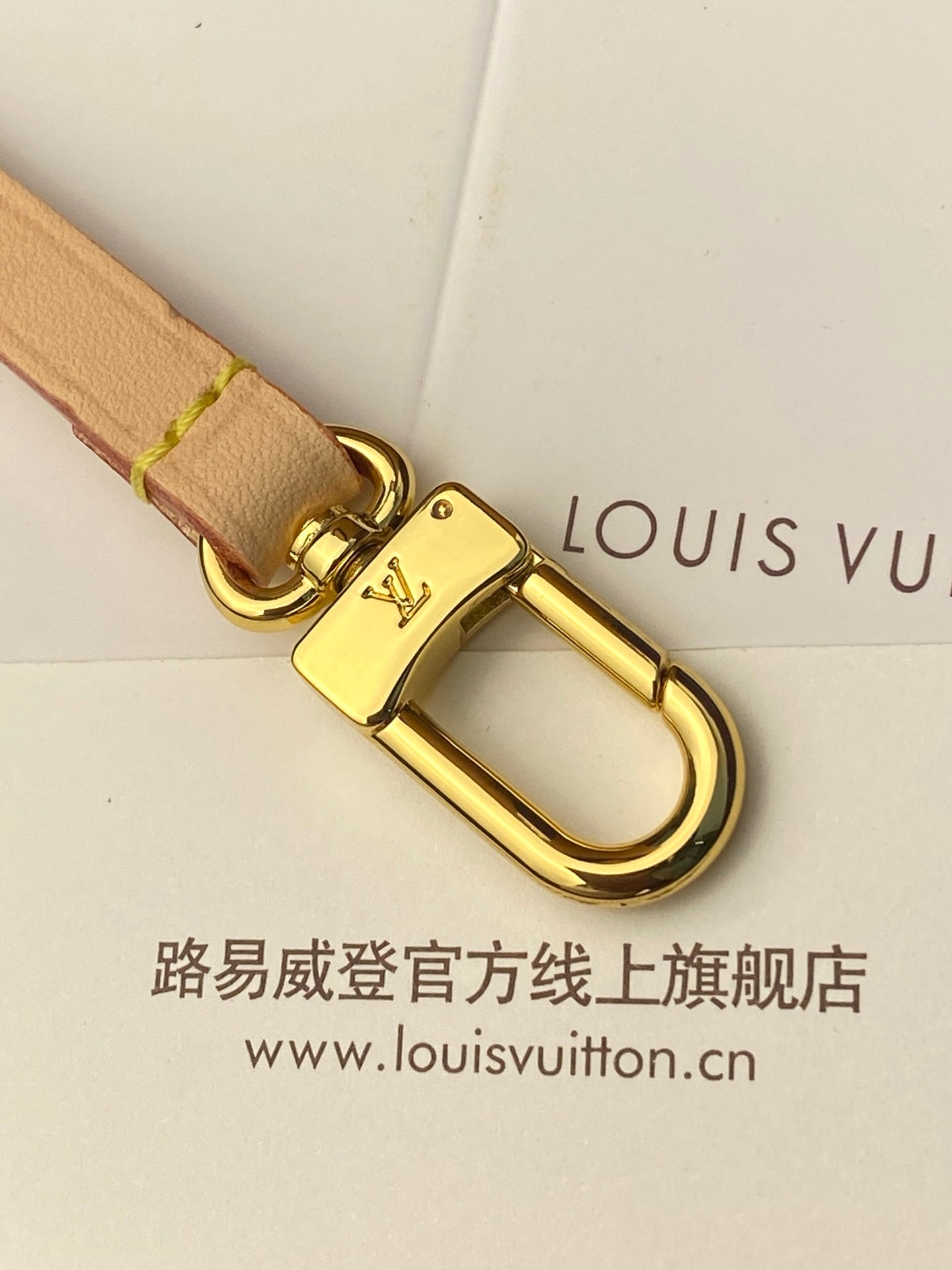 LV Pochette Pillion Handbag