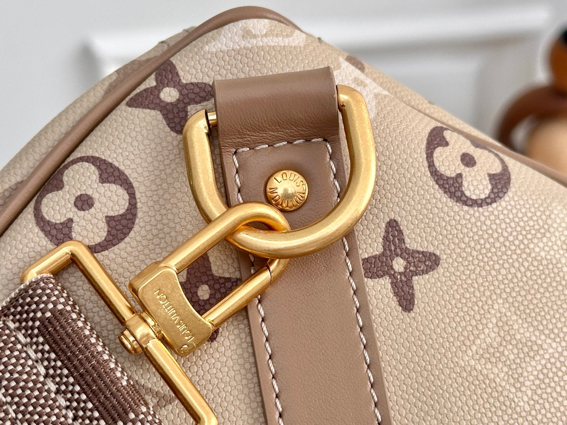LV 50 Travel Bag