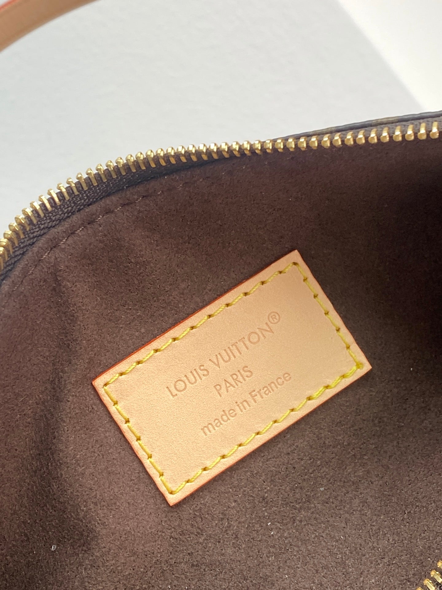 LV Pochette Pillion Handbag