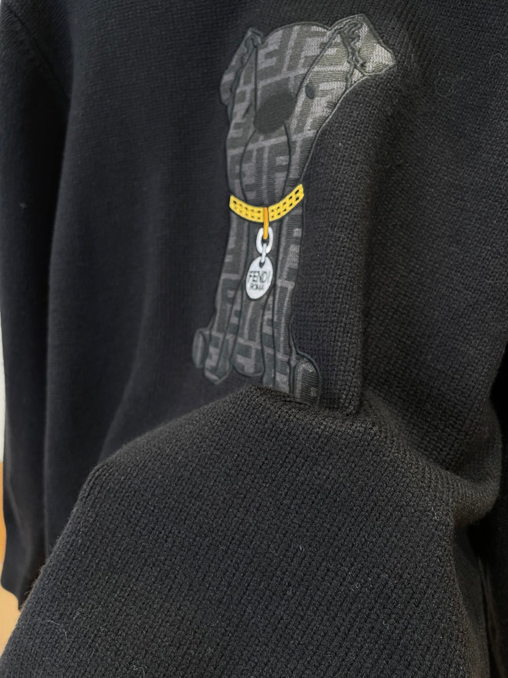 Fendi Puppy Embroidered Knit Sweater
