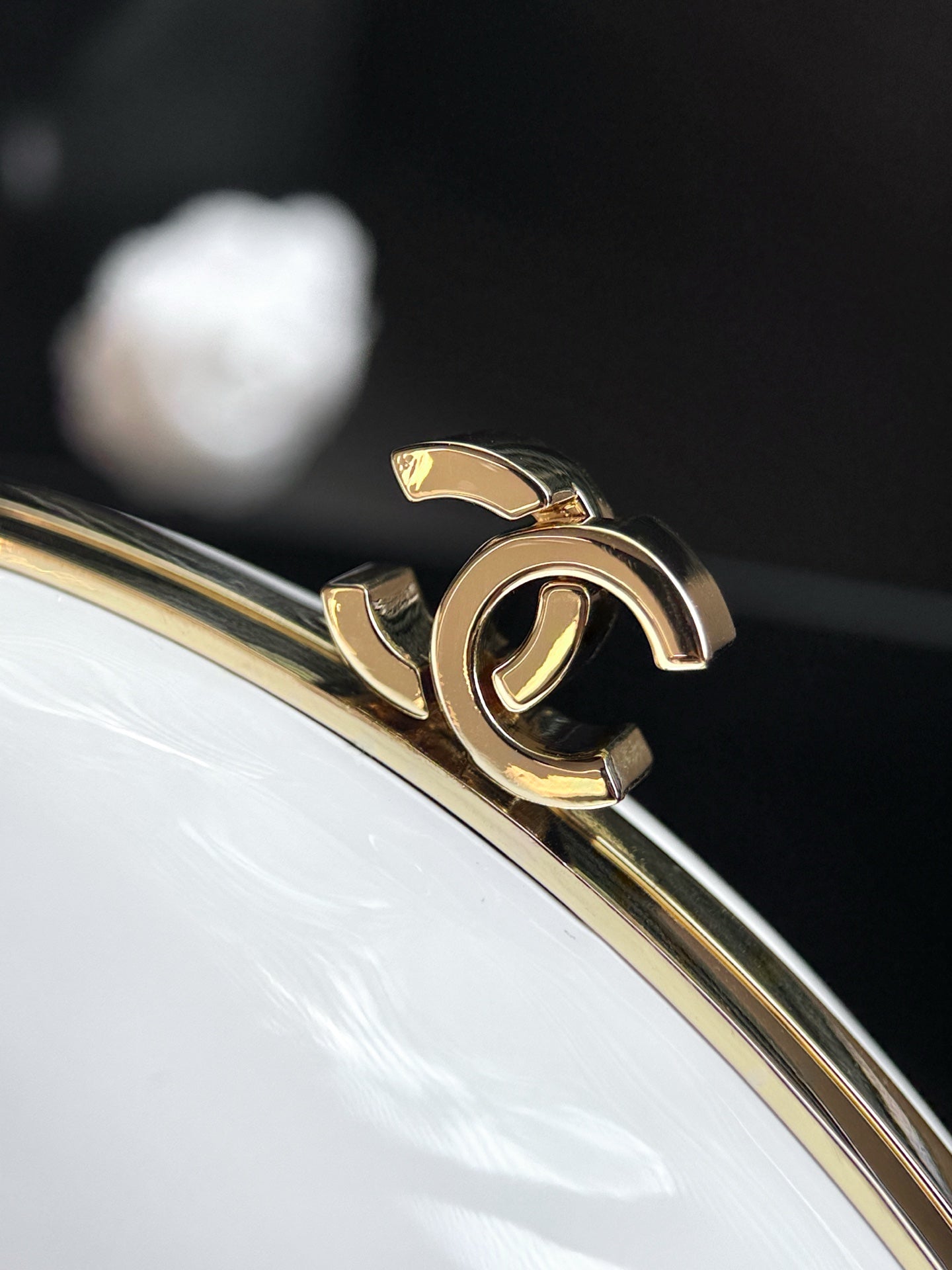Chanel Oval Constellation Bag - Limited Edition