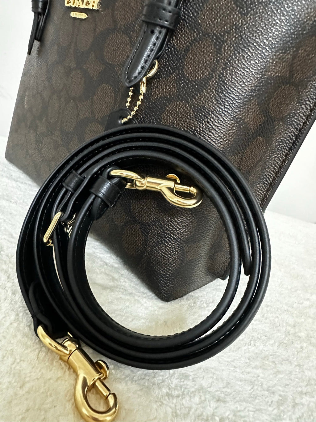 Women's Coach Mollie Small Tote Bag