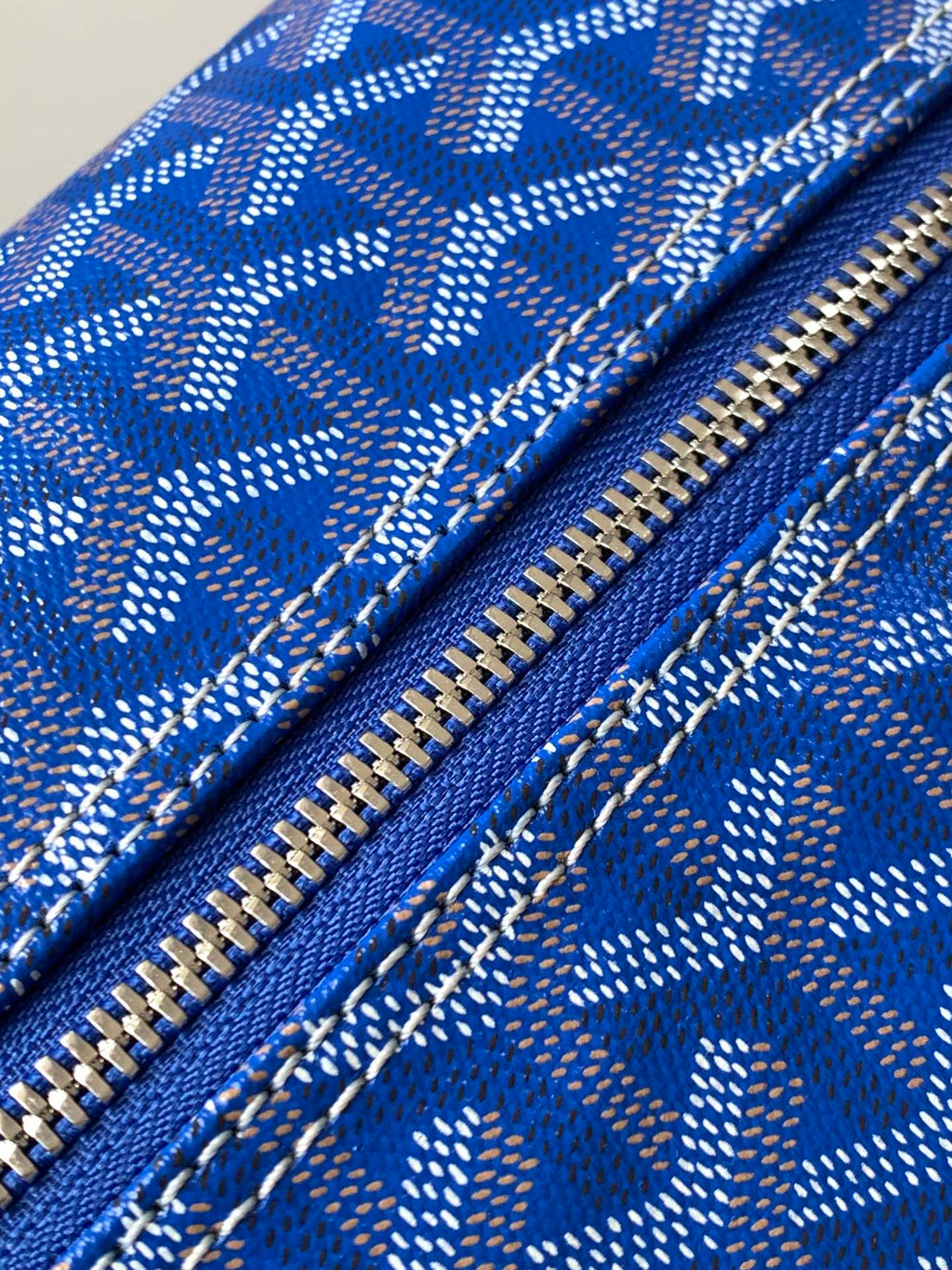 Goyard Toiletry Bag
