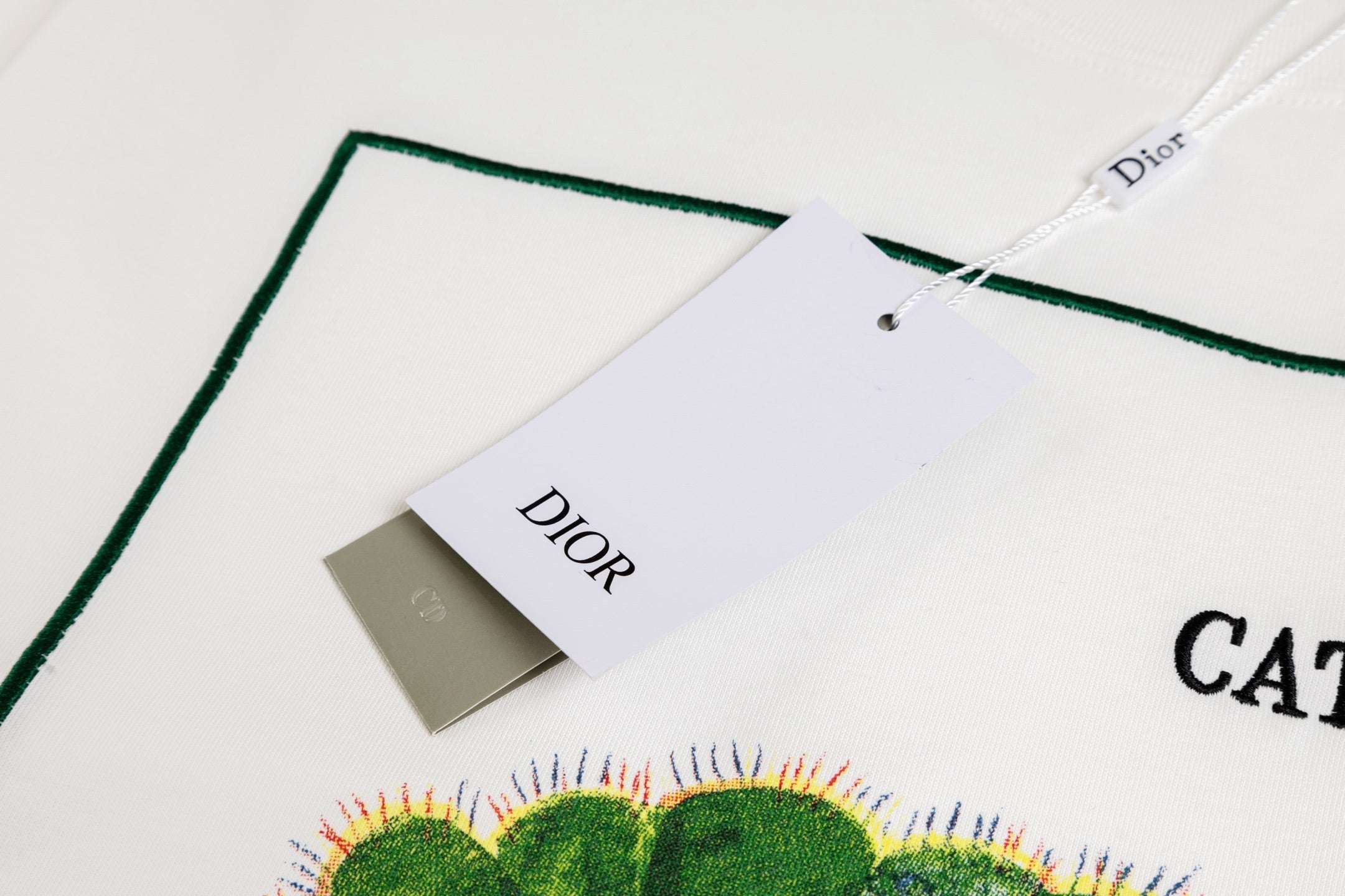 Dior BookCover Caterpillar T-Shirt