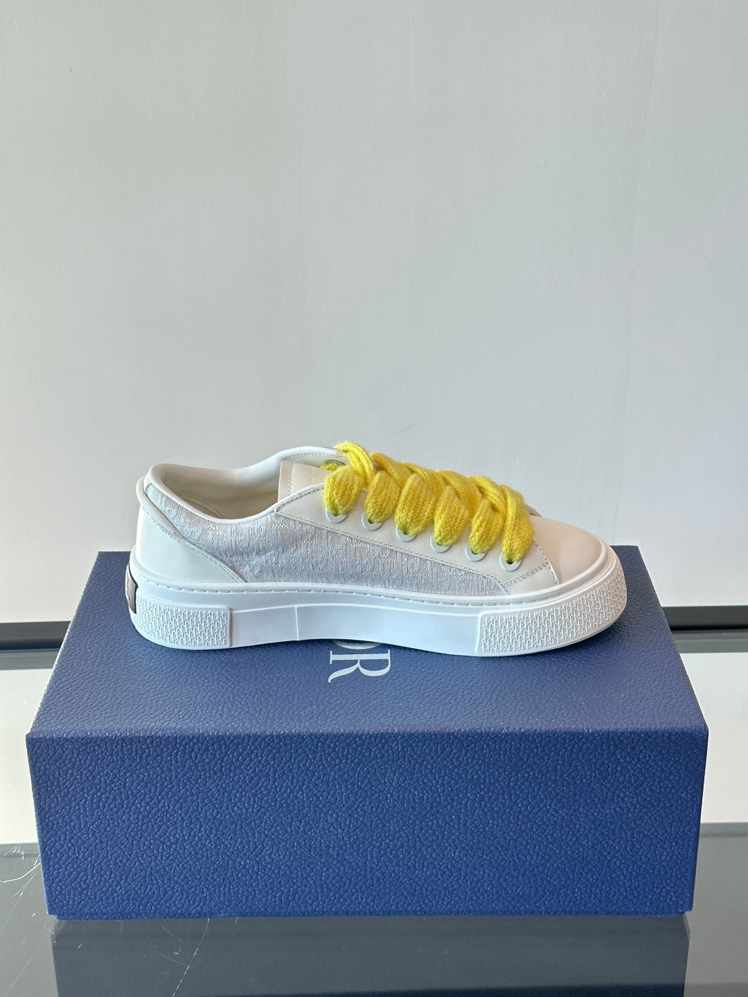 Dior Shoes