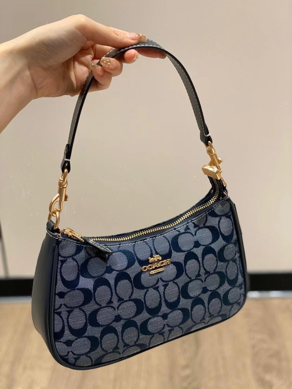 Coach Teri Bag