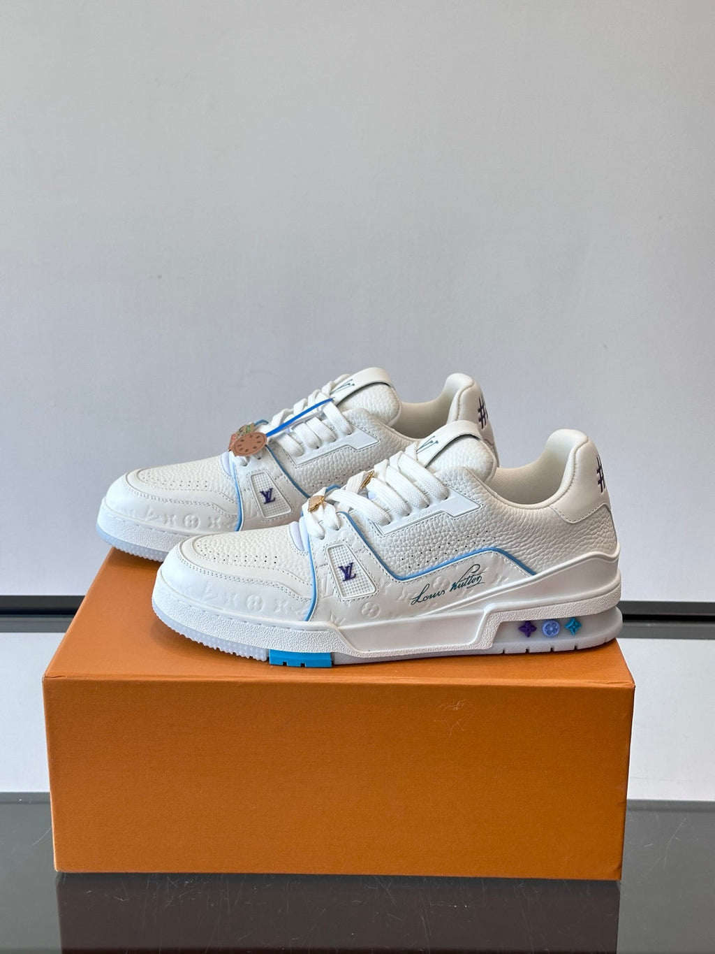 LV Trainers shoes