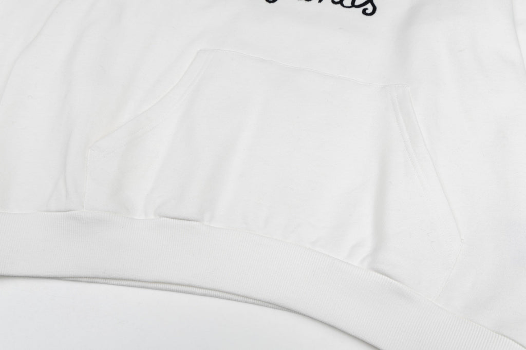 Dior embroidered Hoodie