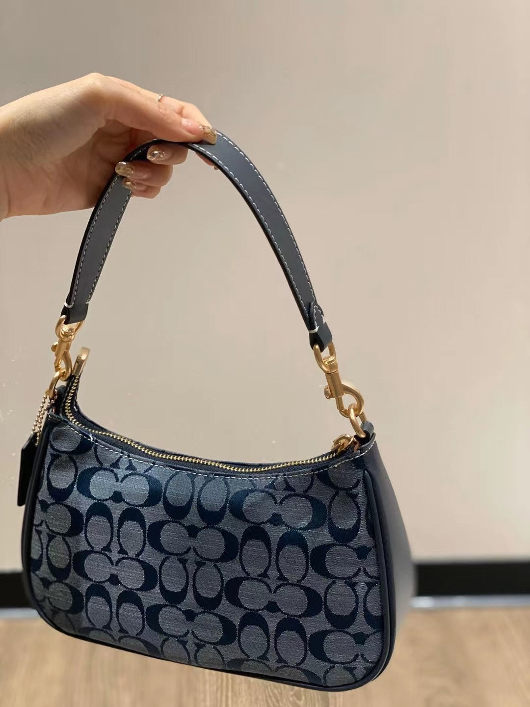 Coach Teri Bag