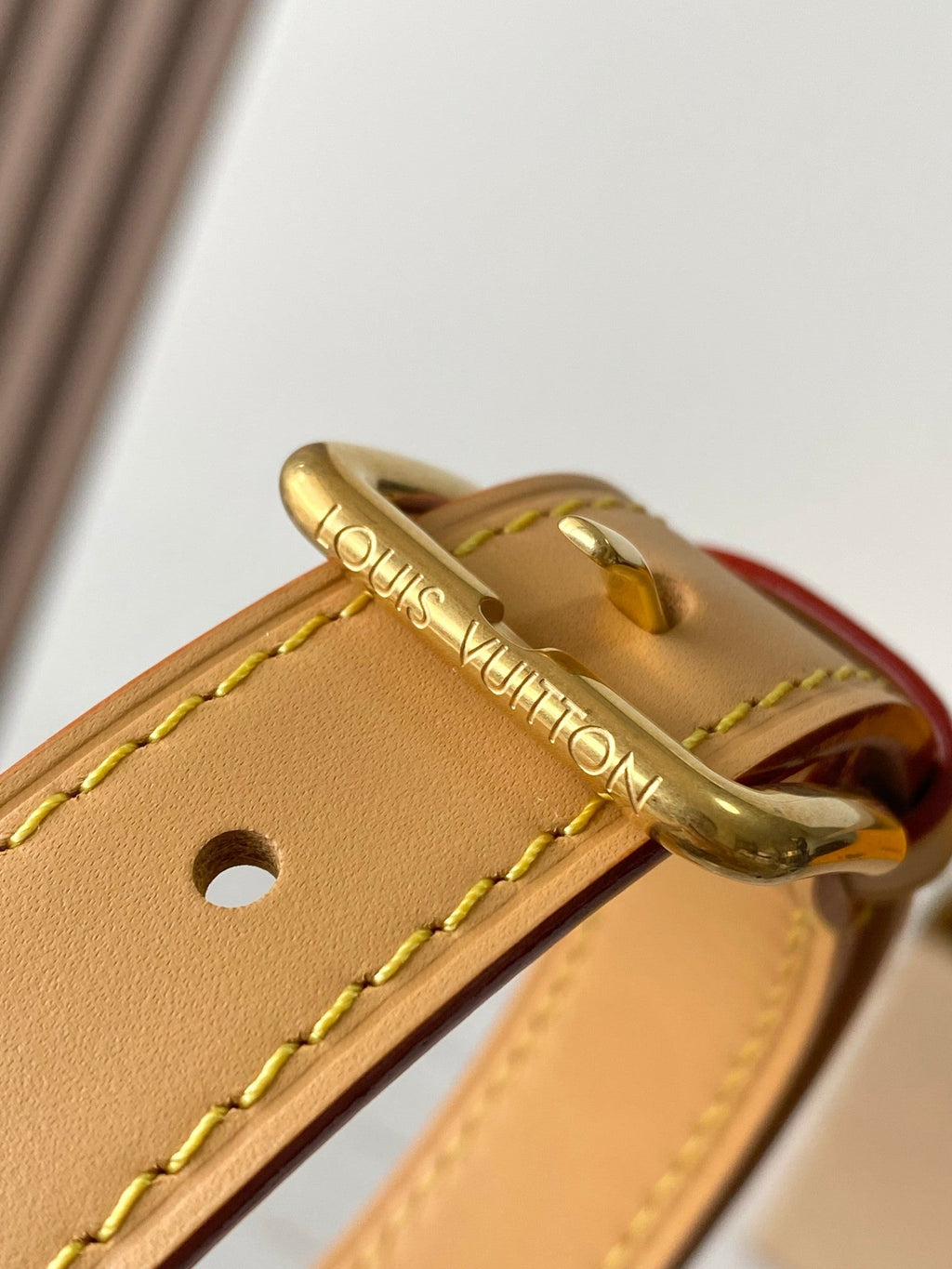 LV Ping Pong Handbag
