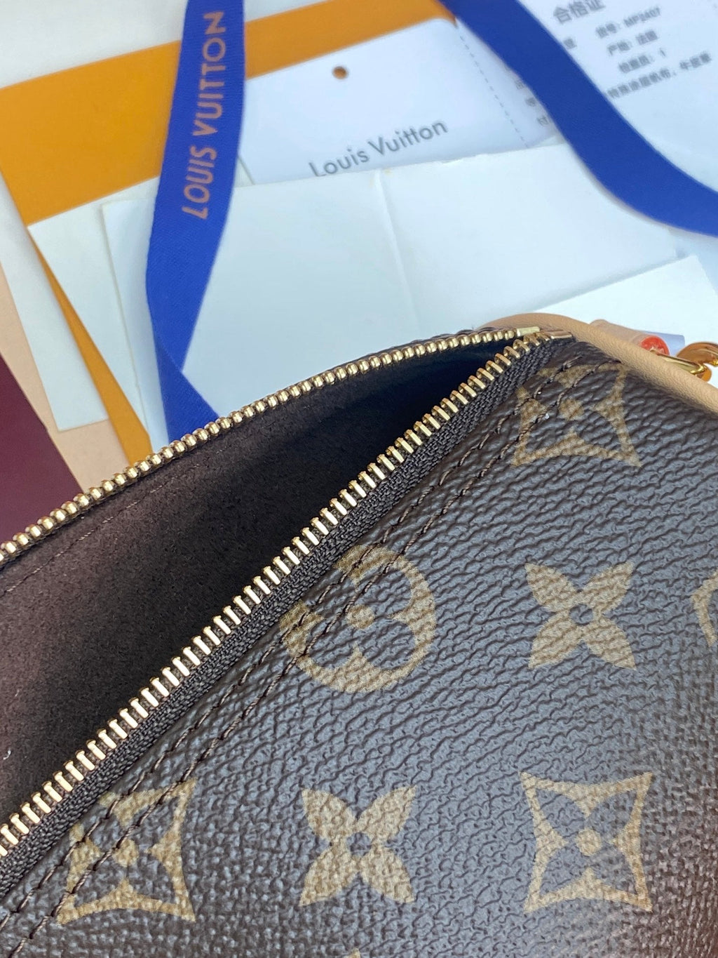 LV Pochette Pillion Handbag
