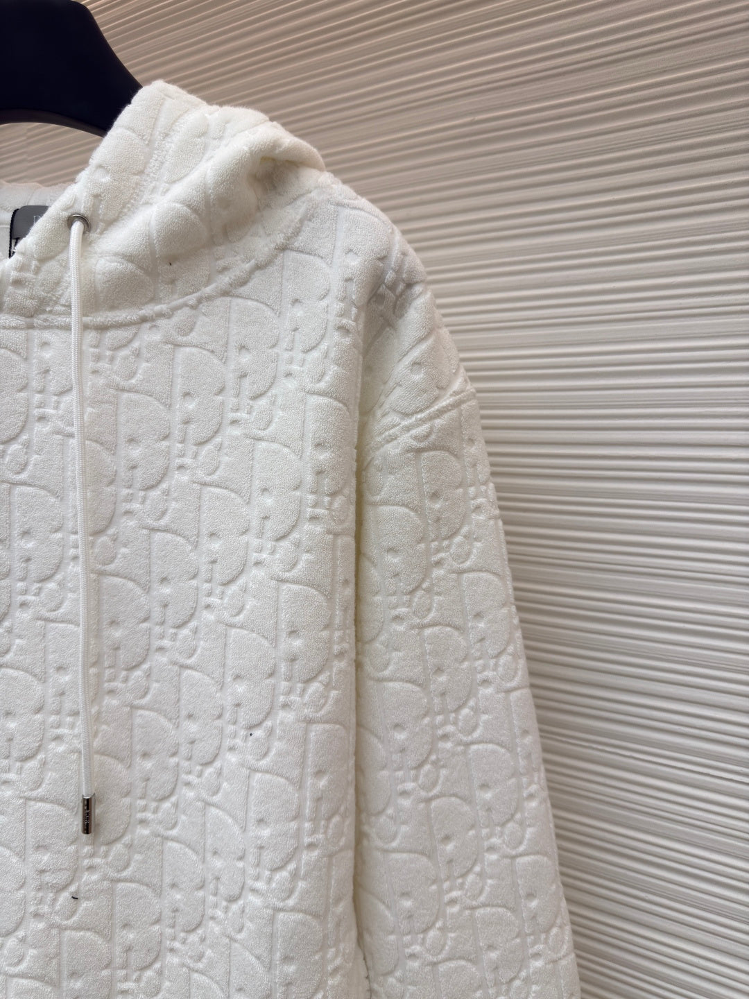 Dior Oblique All Letter hoodie