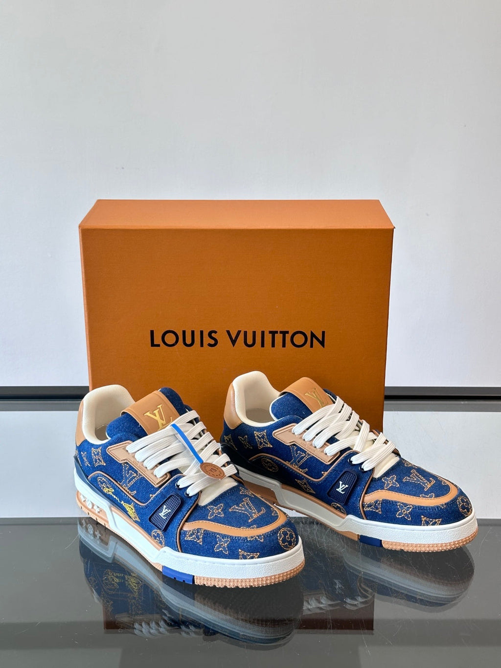 LV Trainers shoes