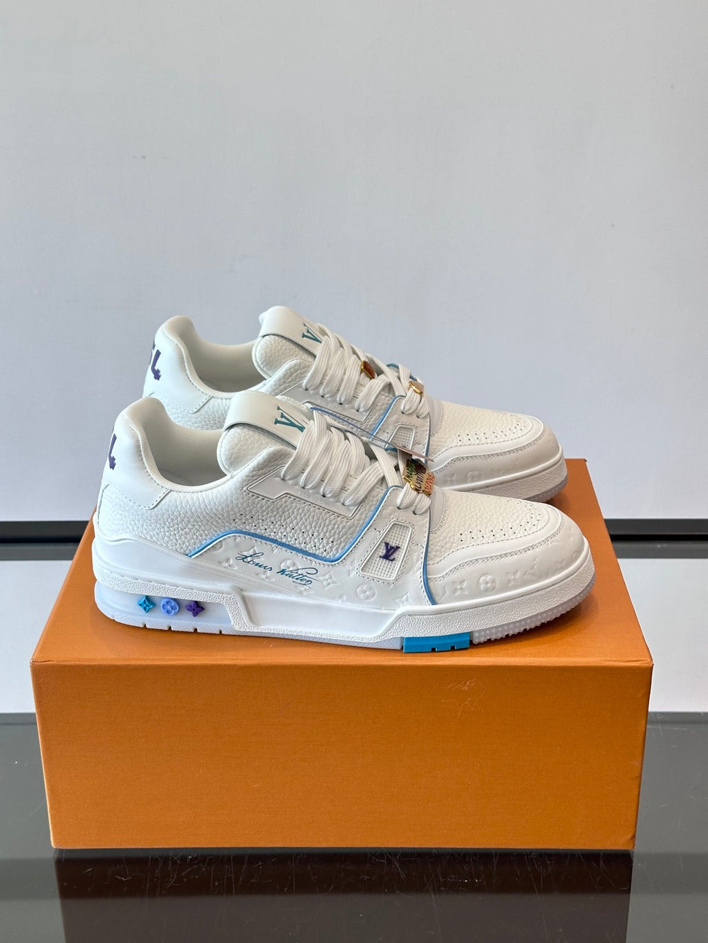 LV Trainers shoes