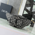 Dior belt Bag