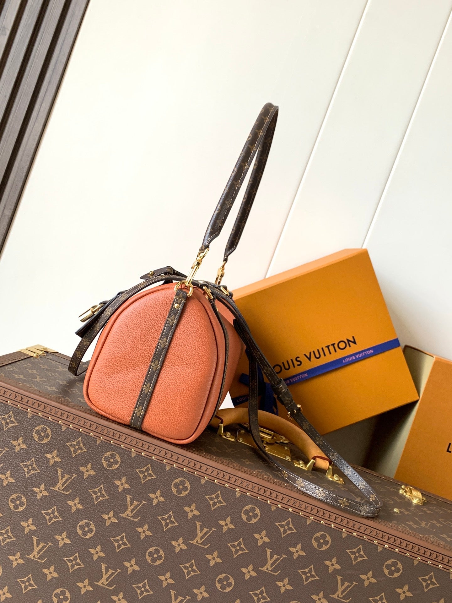LV Handbag