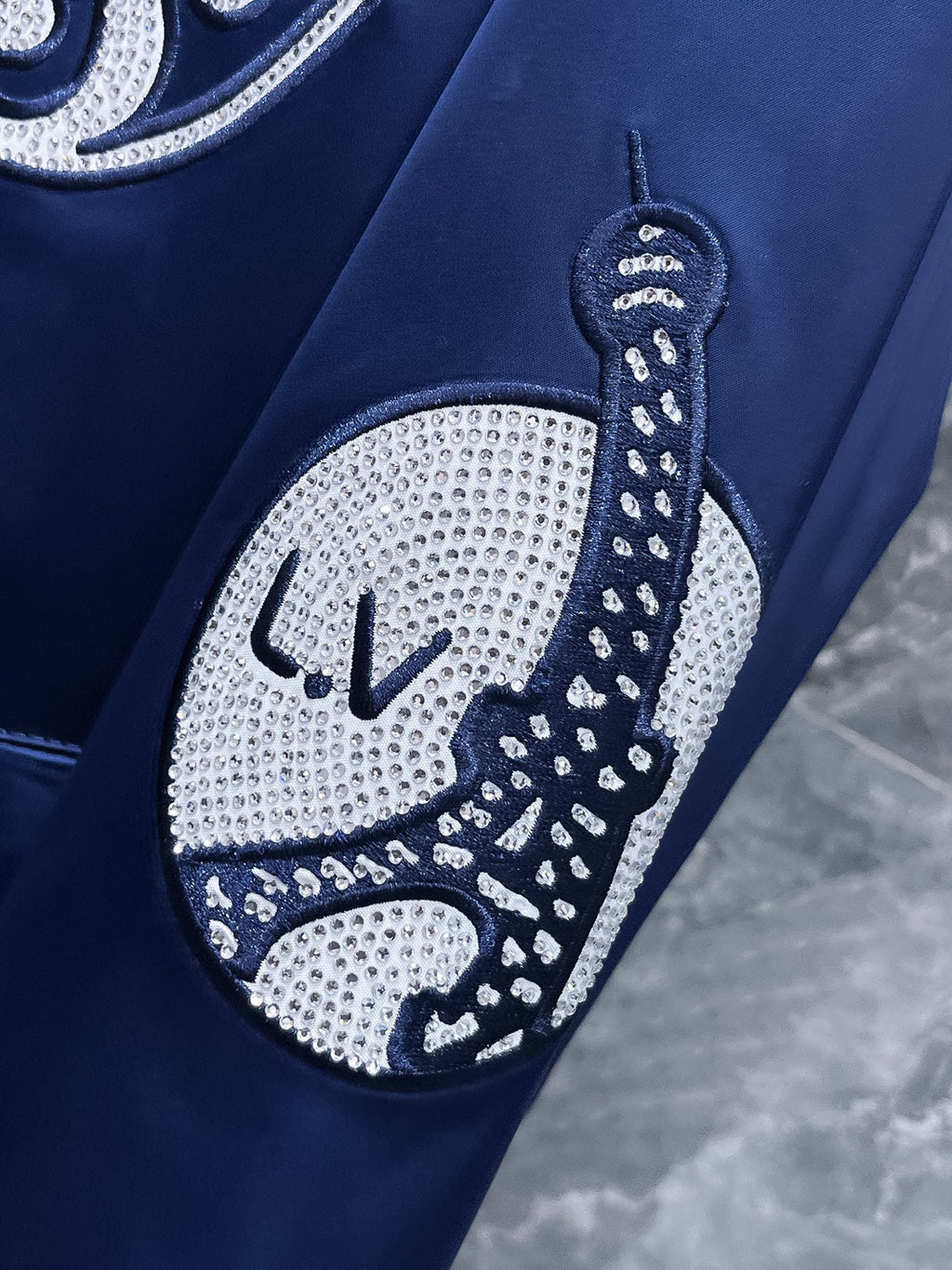 LV Jacket