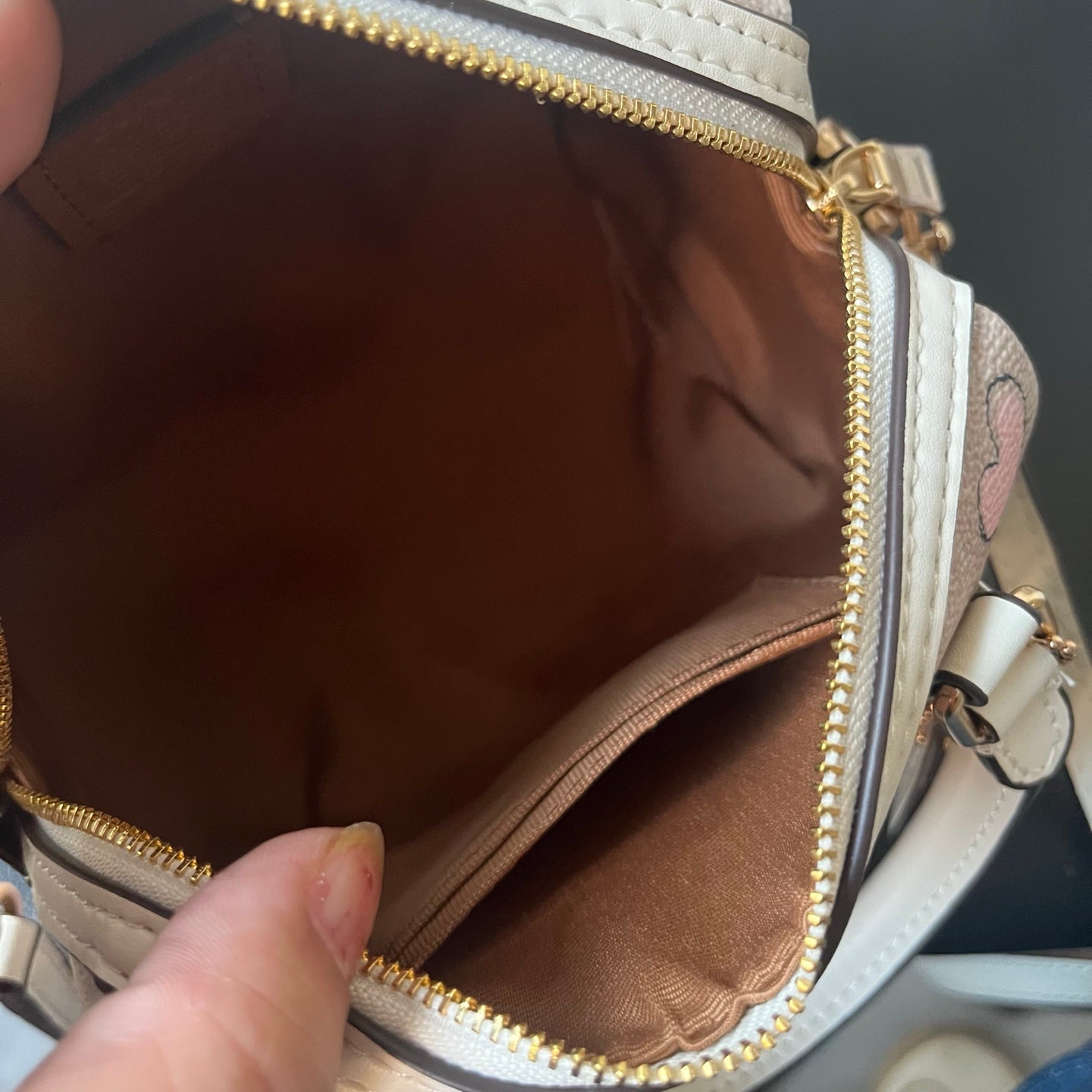 Coach Mino Pillow bag