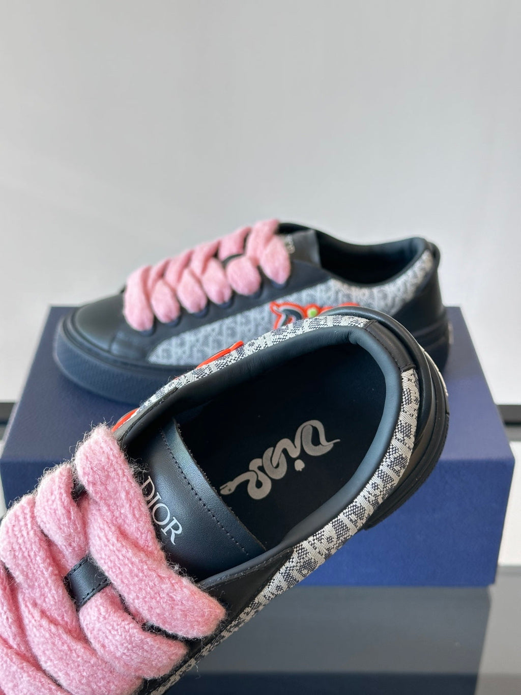 Dior Shoes
