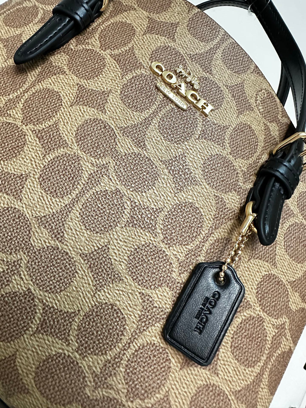 Women's Coach Mollie Small Tote Bag