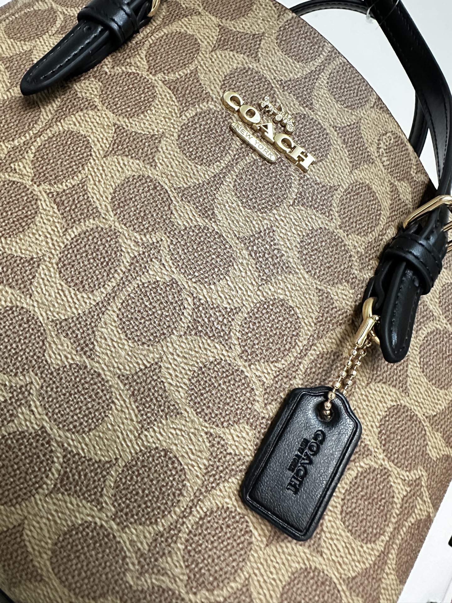 Women's Coach Mollie Small Tote Bag