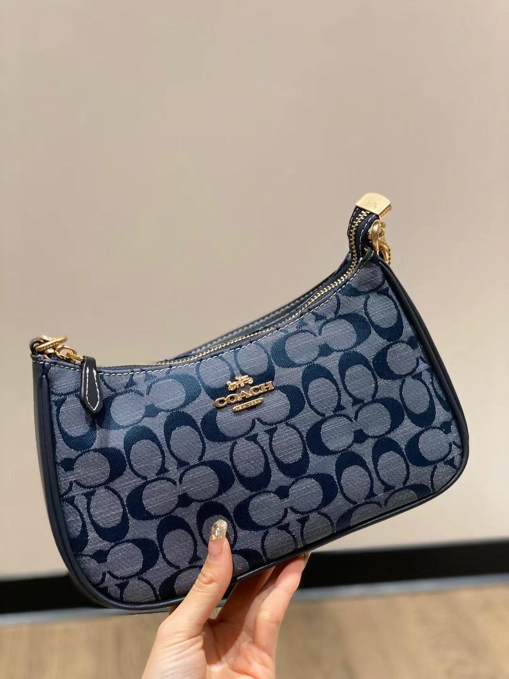 Coach Teri Bag