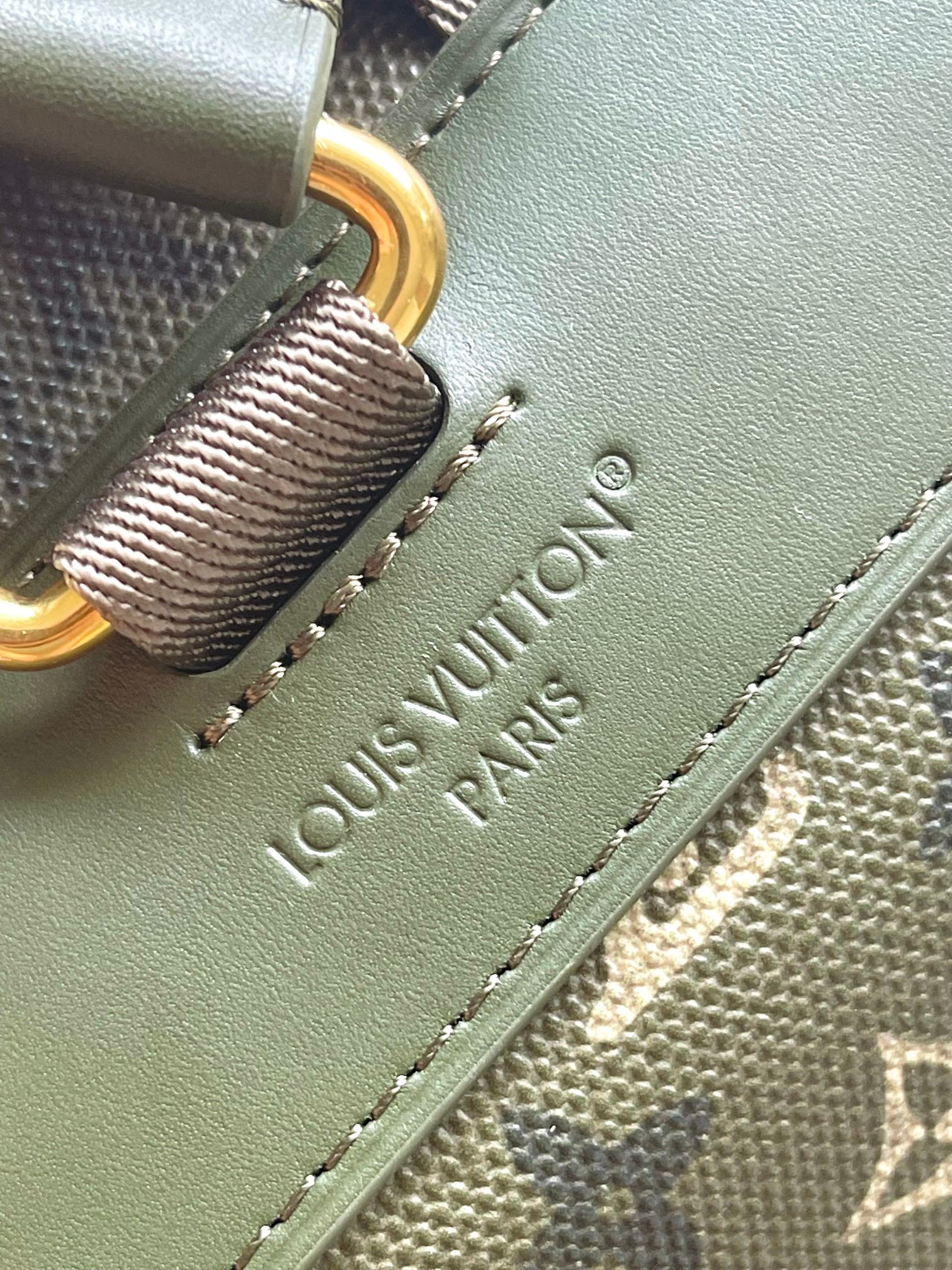 LV Backpack