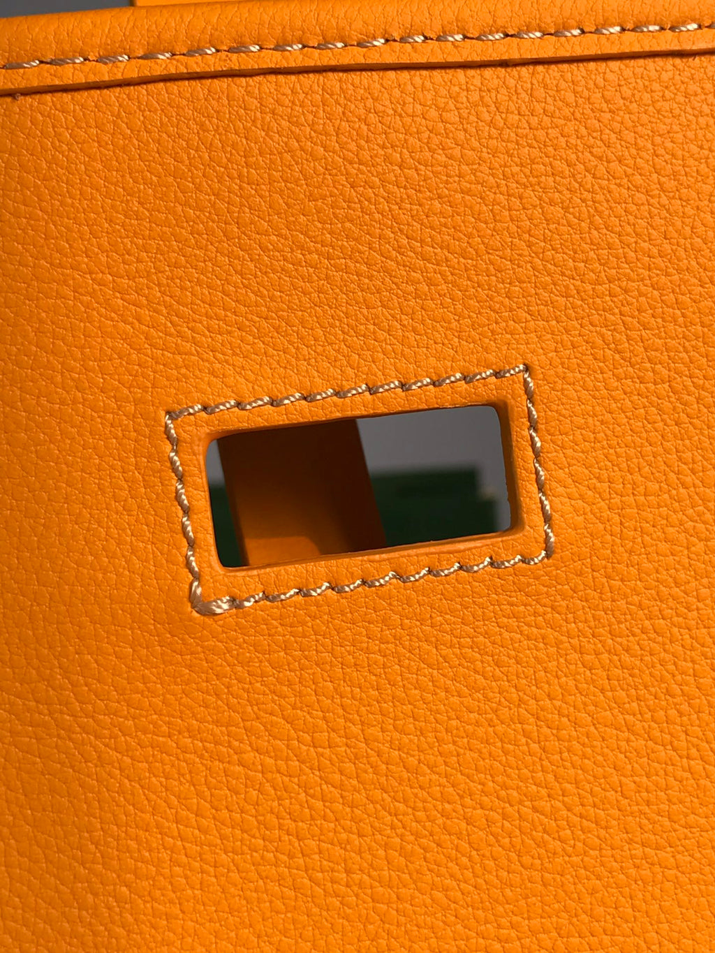Goyard Bag