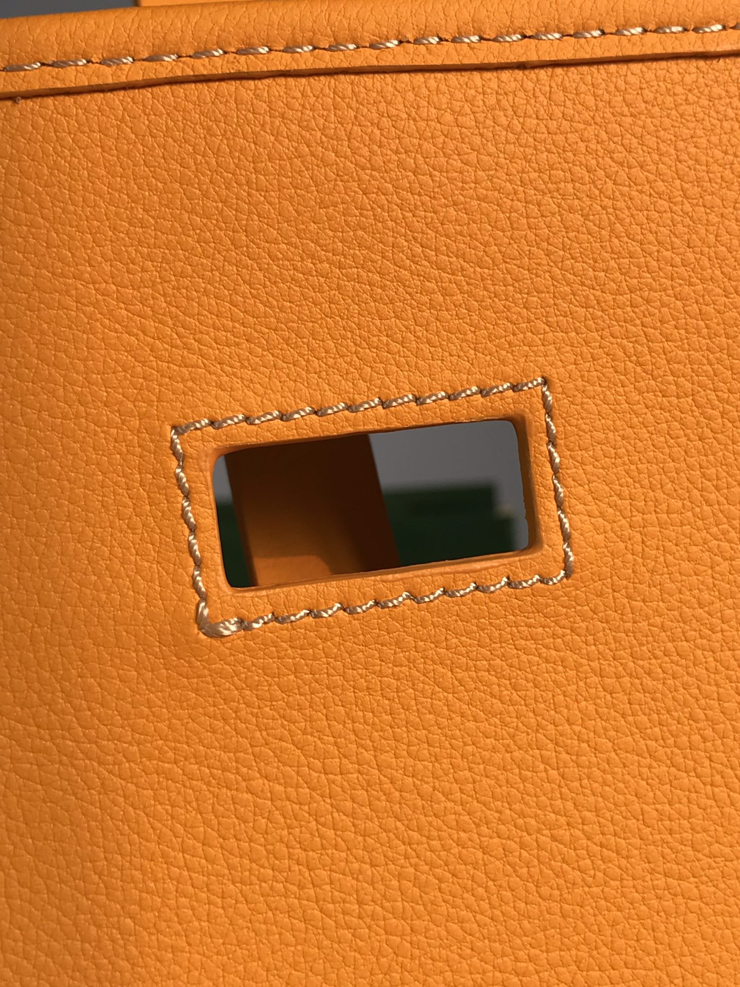 Goyard Bag