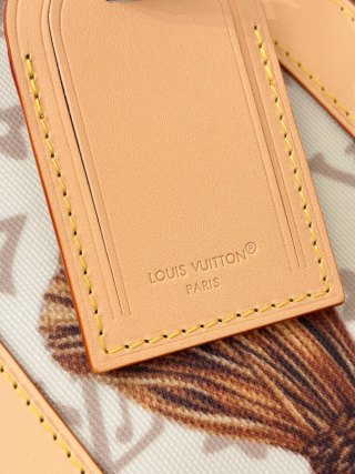 LV 45 Travel Bag