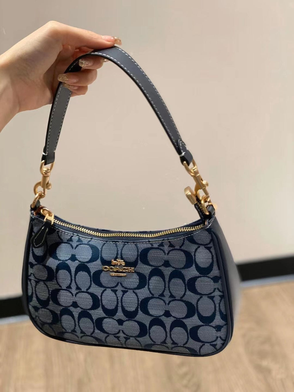 Coach Teri Bag